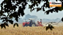 Indian farm exports outperform – despite Trump tariffs