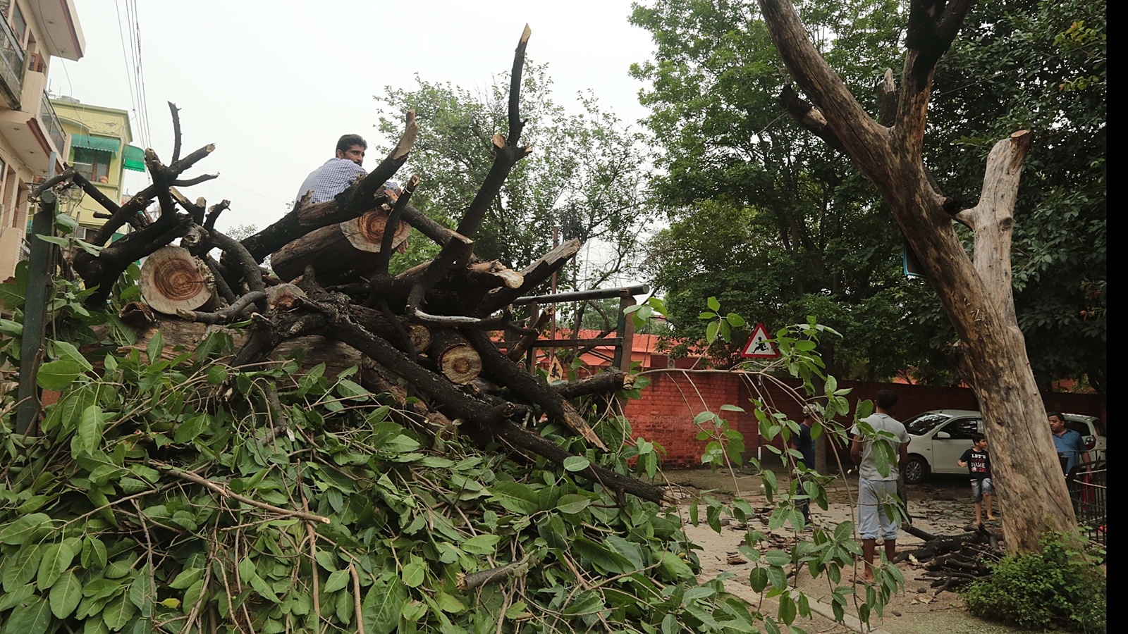 Trees of Pune’s riparian zones get a breather as direction issued to ‘exercise restraint on tree-felling’ for RFD project