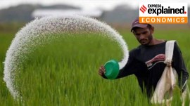 Looming scarcity of urea