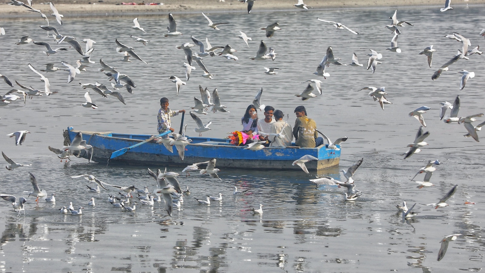 Delhi worst in PM2.5 pollution, 60% districts in India breach WHO standards: Study