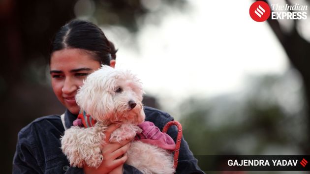 Pet owners lovingly embraces their dog at the festival, highlighting the affectionate bond between pets and their humans