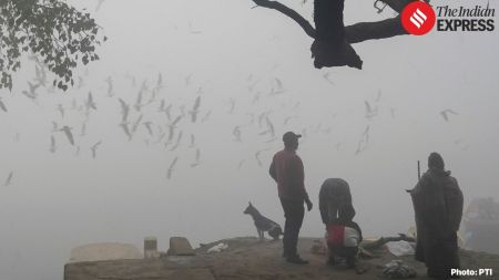 The dense fog cover has again thrown flight operations in the north in jeopardy, with the Delhi IGI Airport warning of cancellations and delays