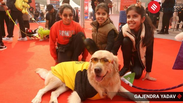 Pet Fed 2025 brings together animal lovers from across the city, celebrating companionship and pet care in a lively open-air atmosphere