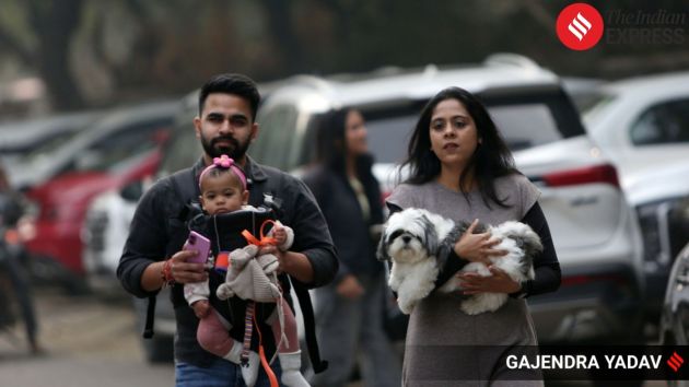 The festival, spread across NSIC Grounds, draws dogs and their families together for a day of joy and interaction
