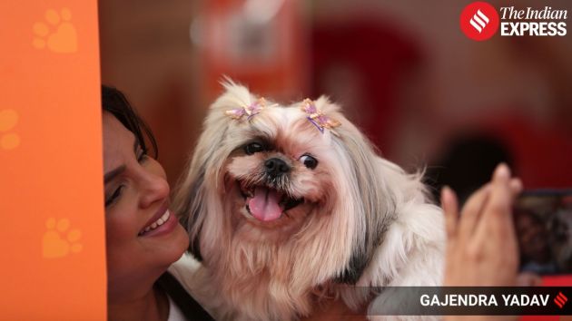 Festival attendees capture moments with their furry friends, enjoying the community spirit of the day at Okhla’s NSIC Grounds