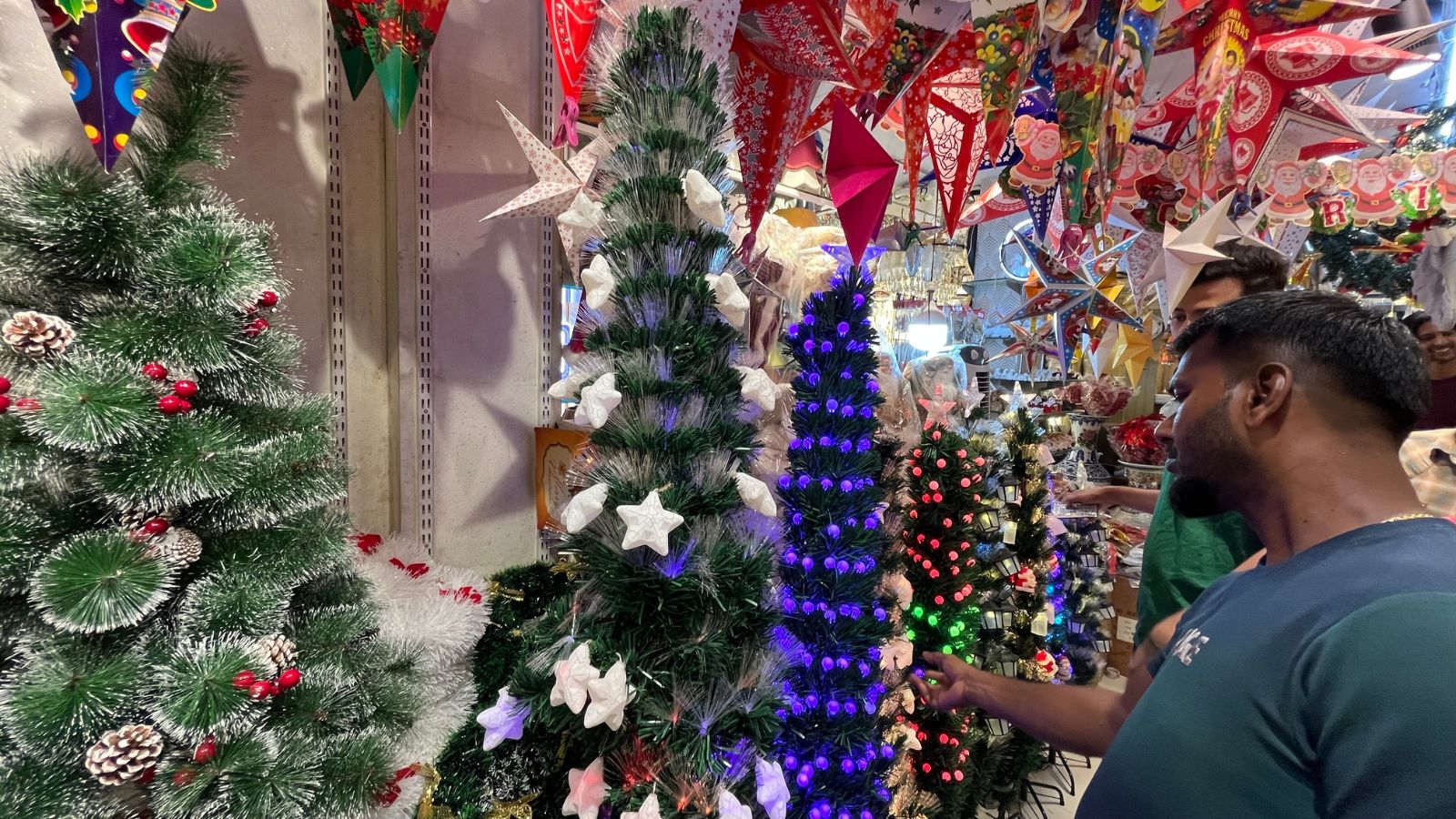 Pune’s Christmas tree market sees warm blend of tradition, modernity and rising demand for sustainability 