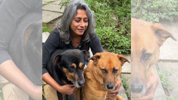 Anuradha Roy with her dogs.