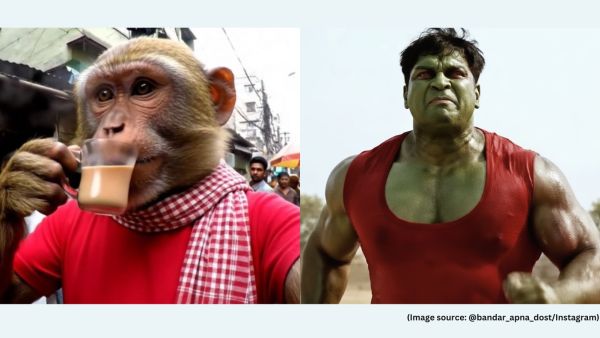 According to a report published by Kapwing in November, Bandar Apna Dost is the highest-earning ‘AI slop’ YouTube channel in the world