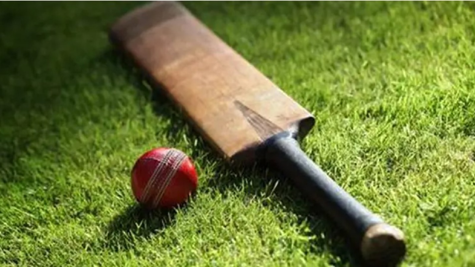 Indonesia’s Gede Priandana becomes first bowler to take 5 wickets in an over in T20Is