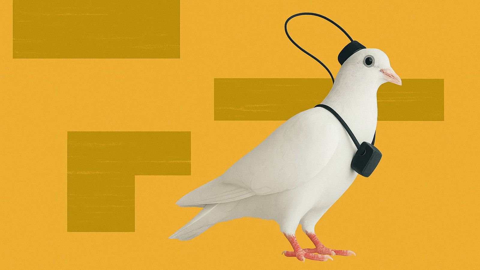 After pigeons, the company also plans to turn ravens into drones as well.