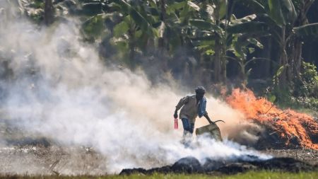 MCG has begun remedial action, while fines worth ₹14.10 lakh were imposed on 274 violators of GRAP norms in a week.