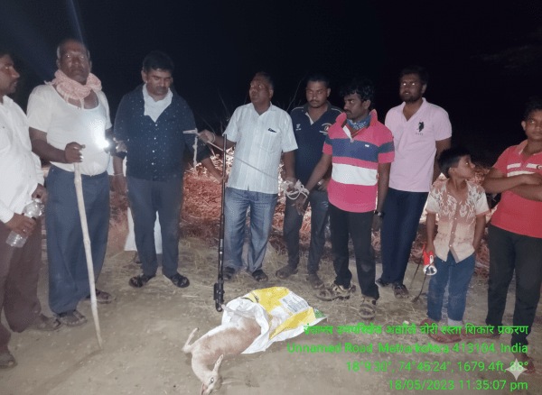 A chinkara’s body was recovered from their bag. (Express Photo)