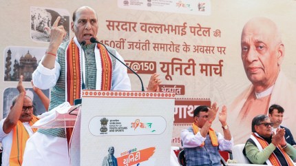 Nehru wanted to use public funds on Babri, Patel opposed: Rajnath