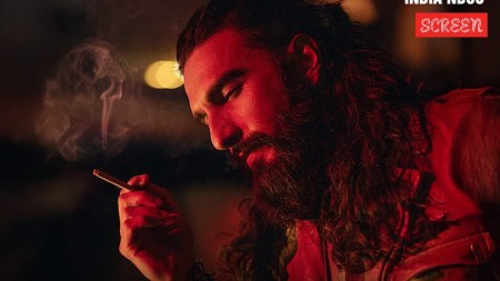 Dhurandhar Box Office Collection