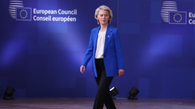 The proposal has divided EU members, with concerns over legal risks, financial liability and Russia’s response.