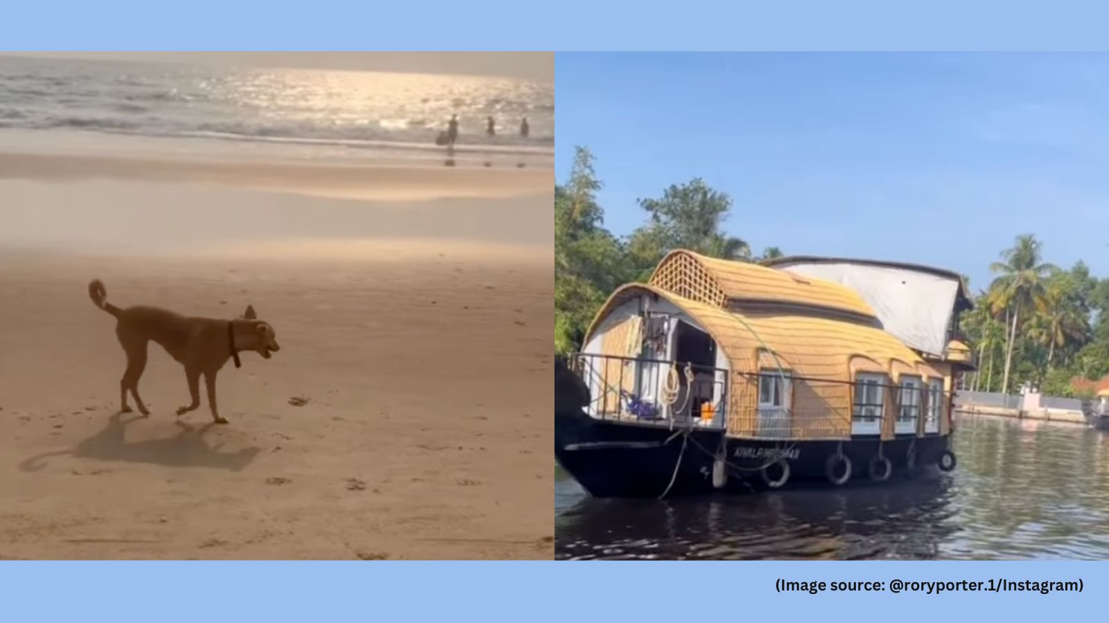 Foreign traveller ranks top South Indian destinations; one ‘unbelievable’ place scores a perfect 9/10