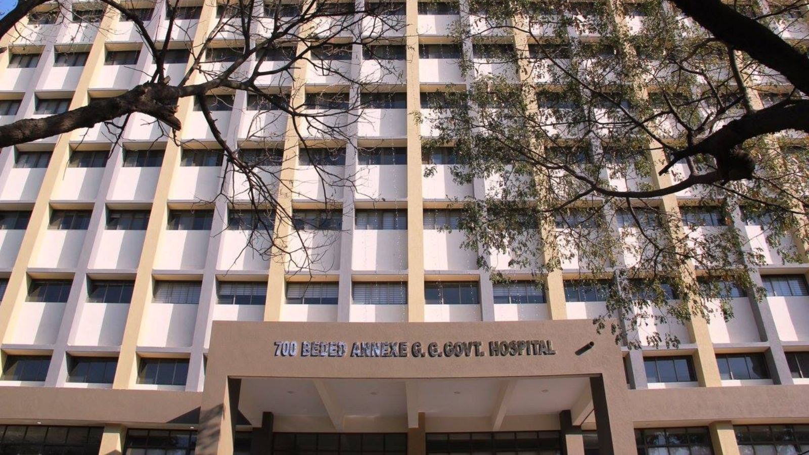 Gujarat Combats Rising Antimicrobial Resistance