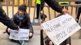 Greta Thunberg arrested at pro-Palestinian protest in London