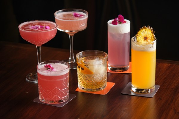 From Coco Kiss to Sky Tide and Shore Thing, all have a heady tale to tell. (Express Photo)