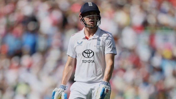 Ricky ponting Harry Brook ashes