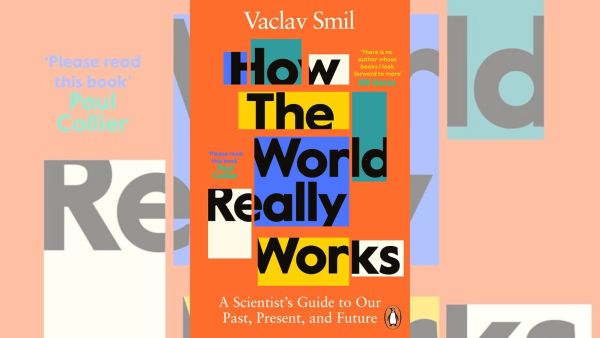 The cover of How the World Really Works