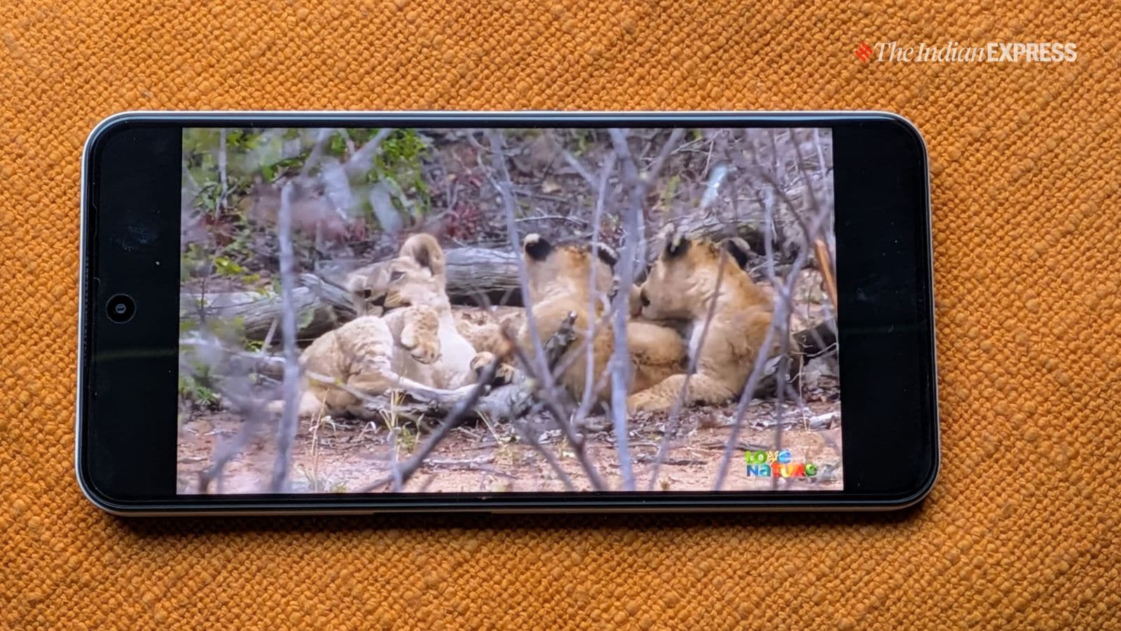 (Image: The Indian Express/ Anuj Bhatia)