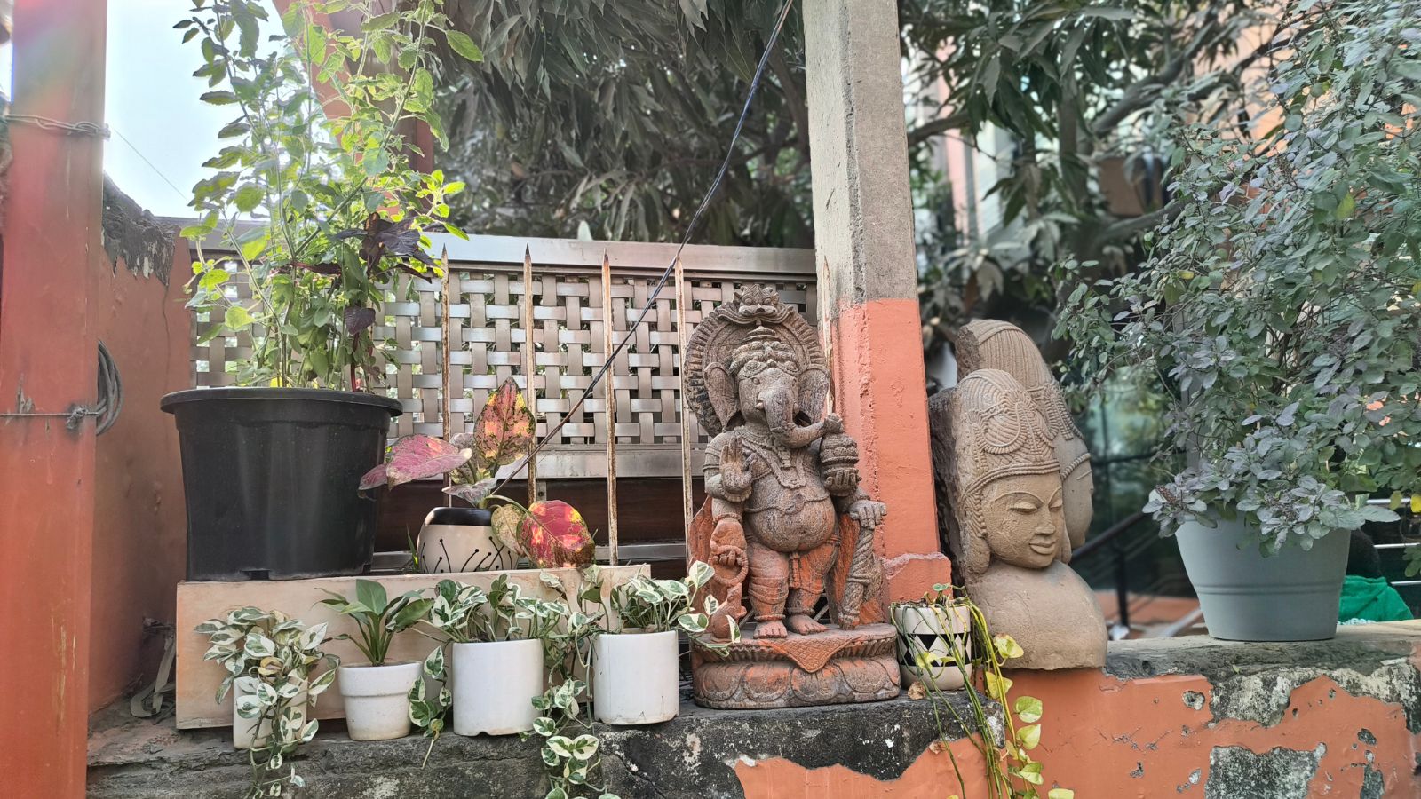 (Image: The Indian Express/ Anuj Bhatia)