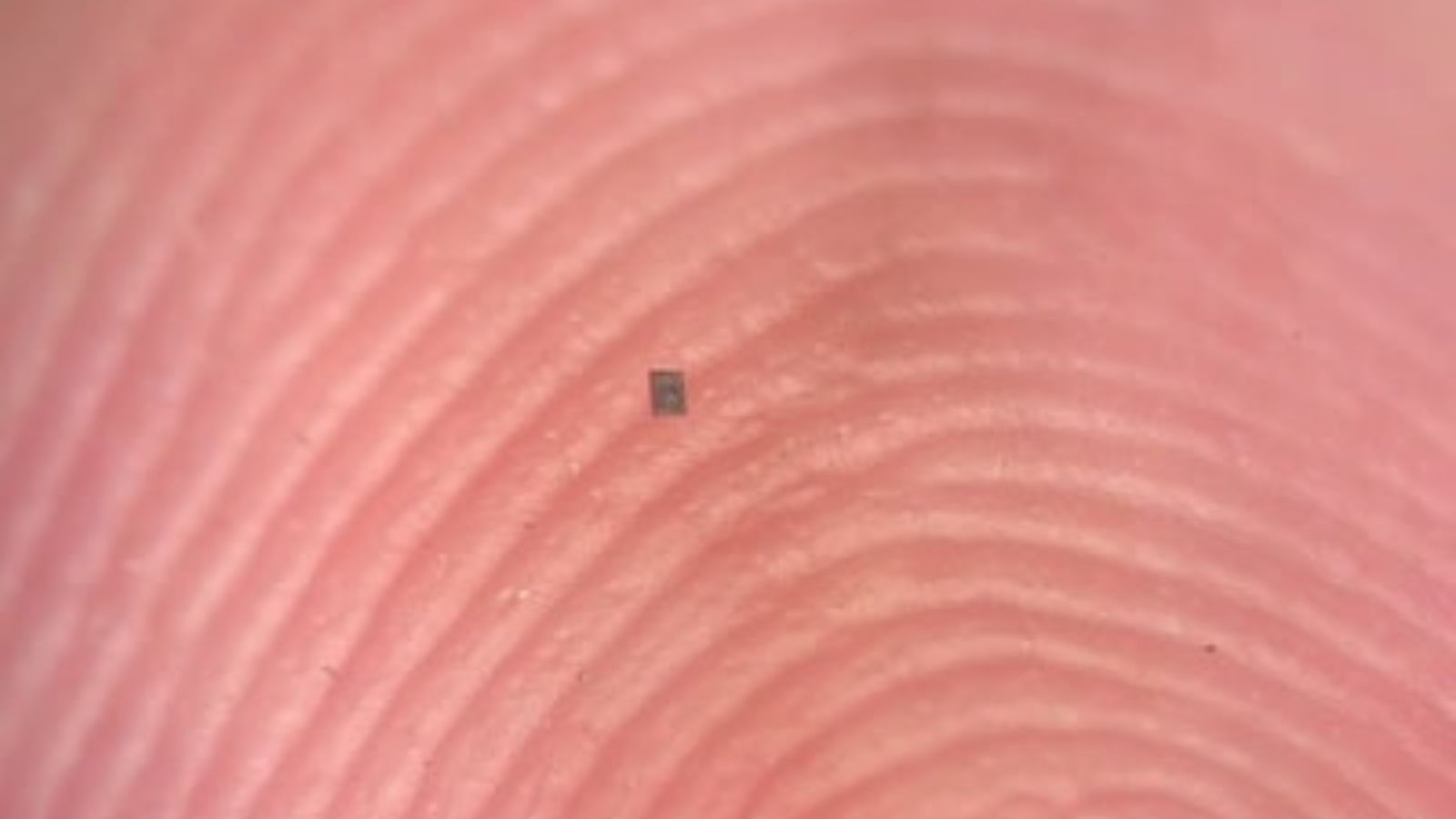 Scientists develop world’s smallest autonomous robots, almost invisible to naked eye