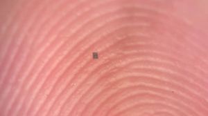 This image is for context of how small the robot is when placed on the finger tip. (Image: University of Pennsylvania )