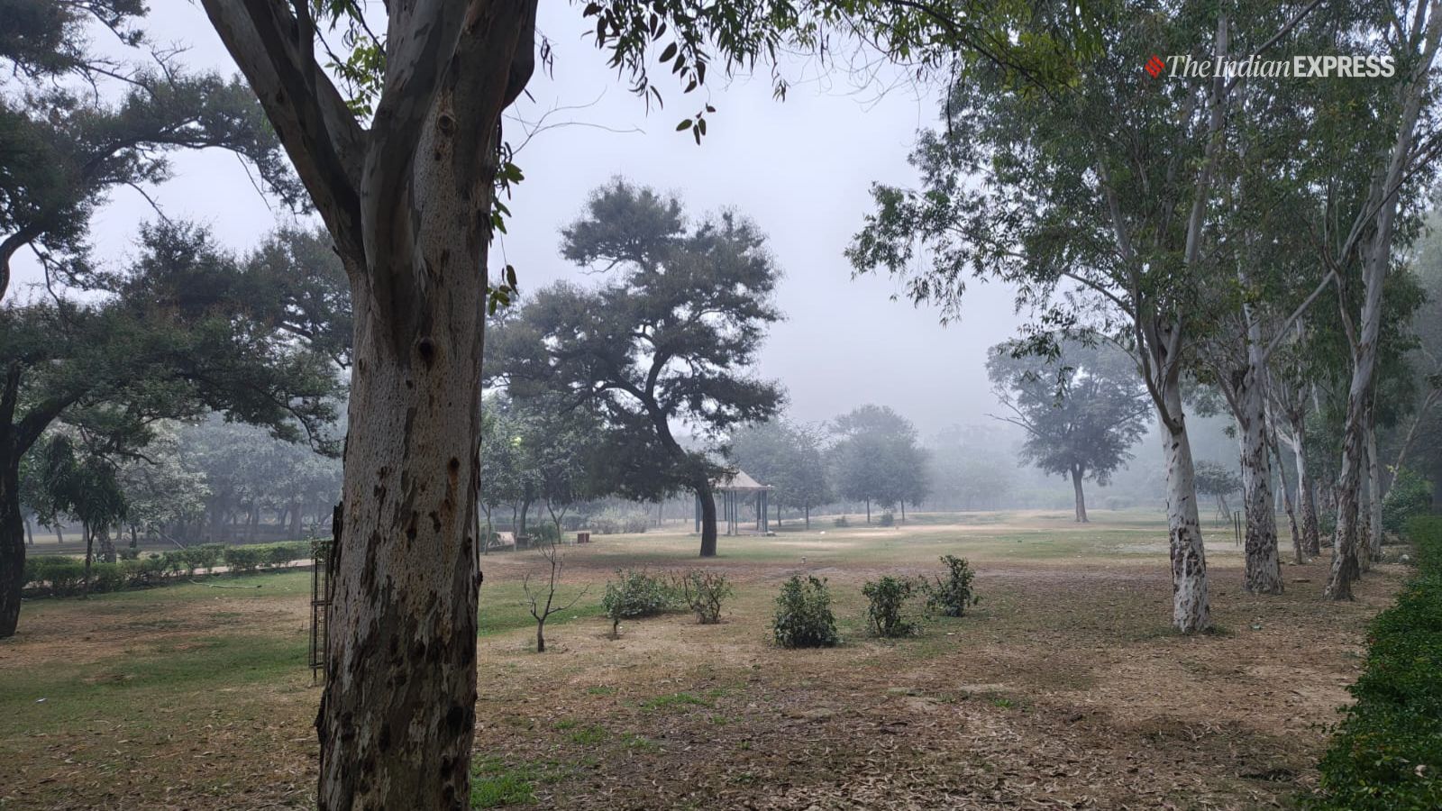 (छवि: द इंडियन एक्सप्रेस/अनुज भाटिया)