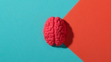 The researchers found that male brains showed a greater reduction in volume and signs of decline in more brain regions than female brains. (Image: Freepik)