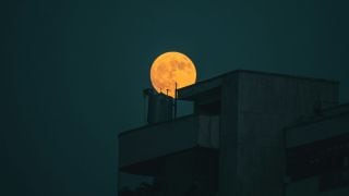 The following year, 2026, will have a lot of stargazing events lined up, from a supermoon to planet sightings. (Image: Unsplash)