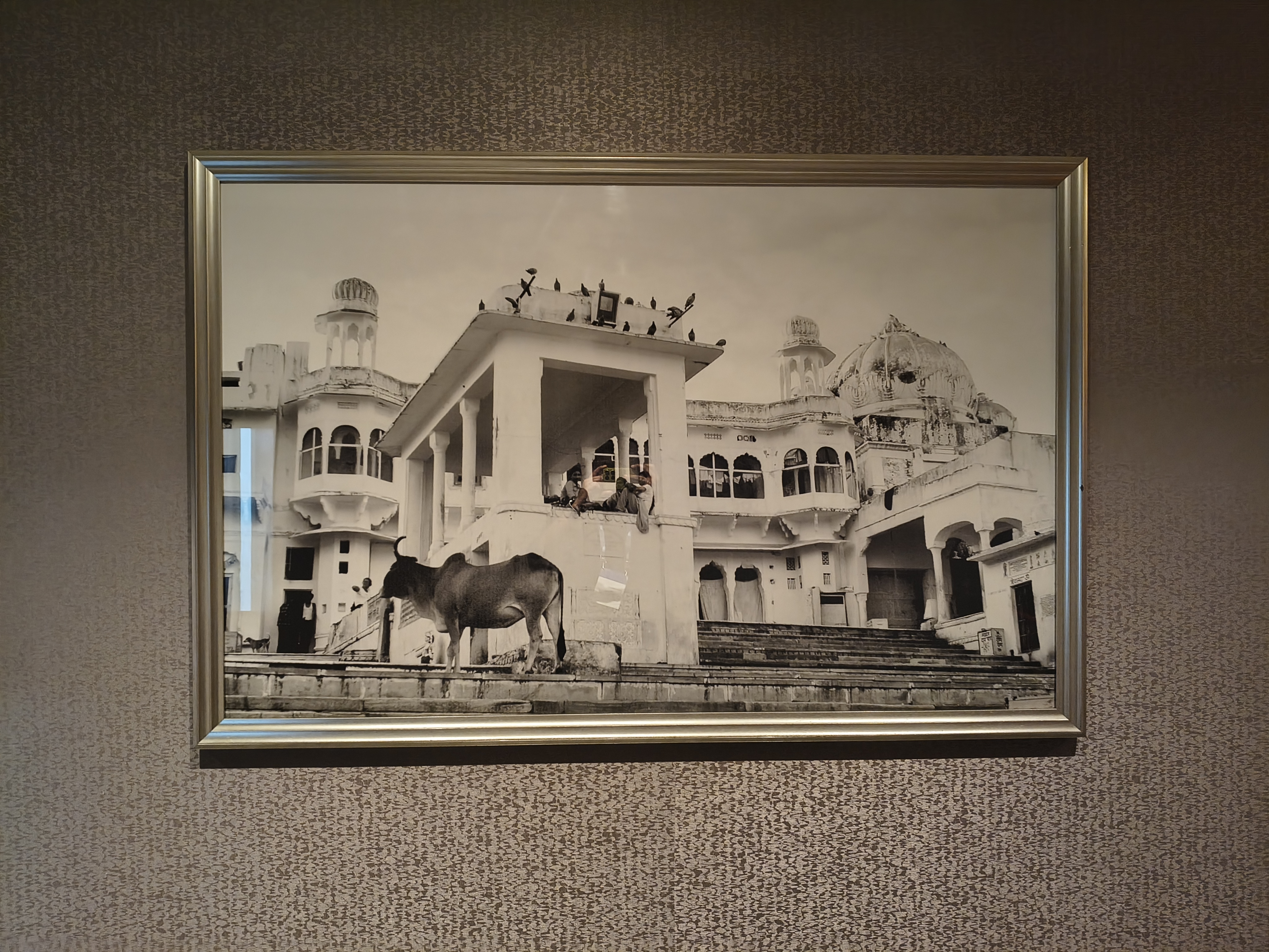 Moto G86 Power camera sample