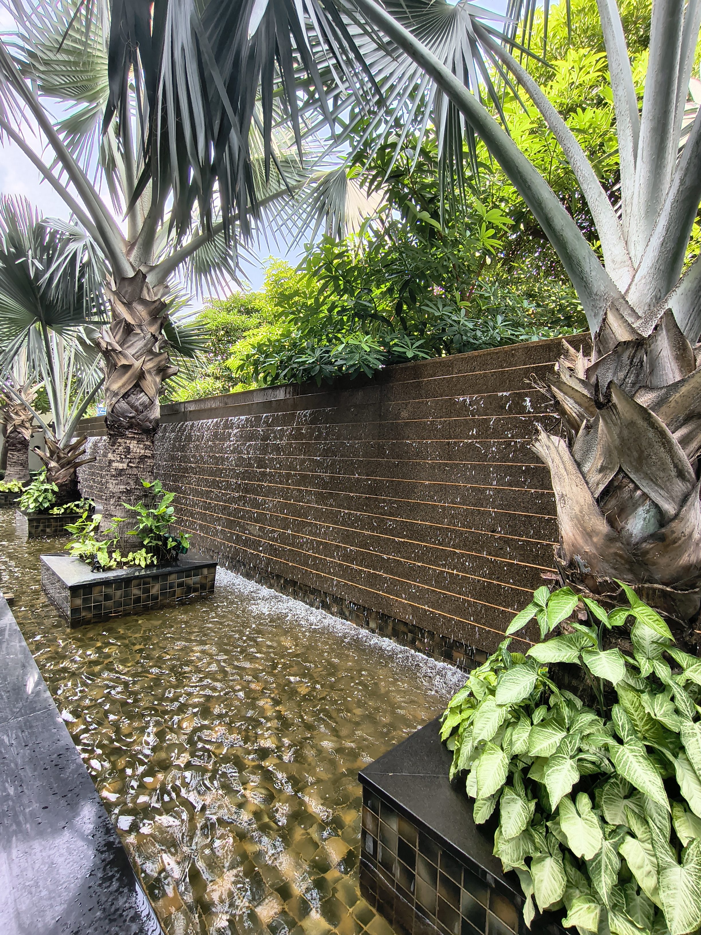 Moto G86 Power camera sample