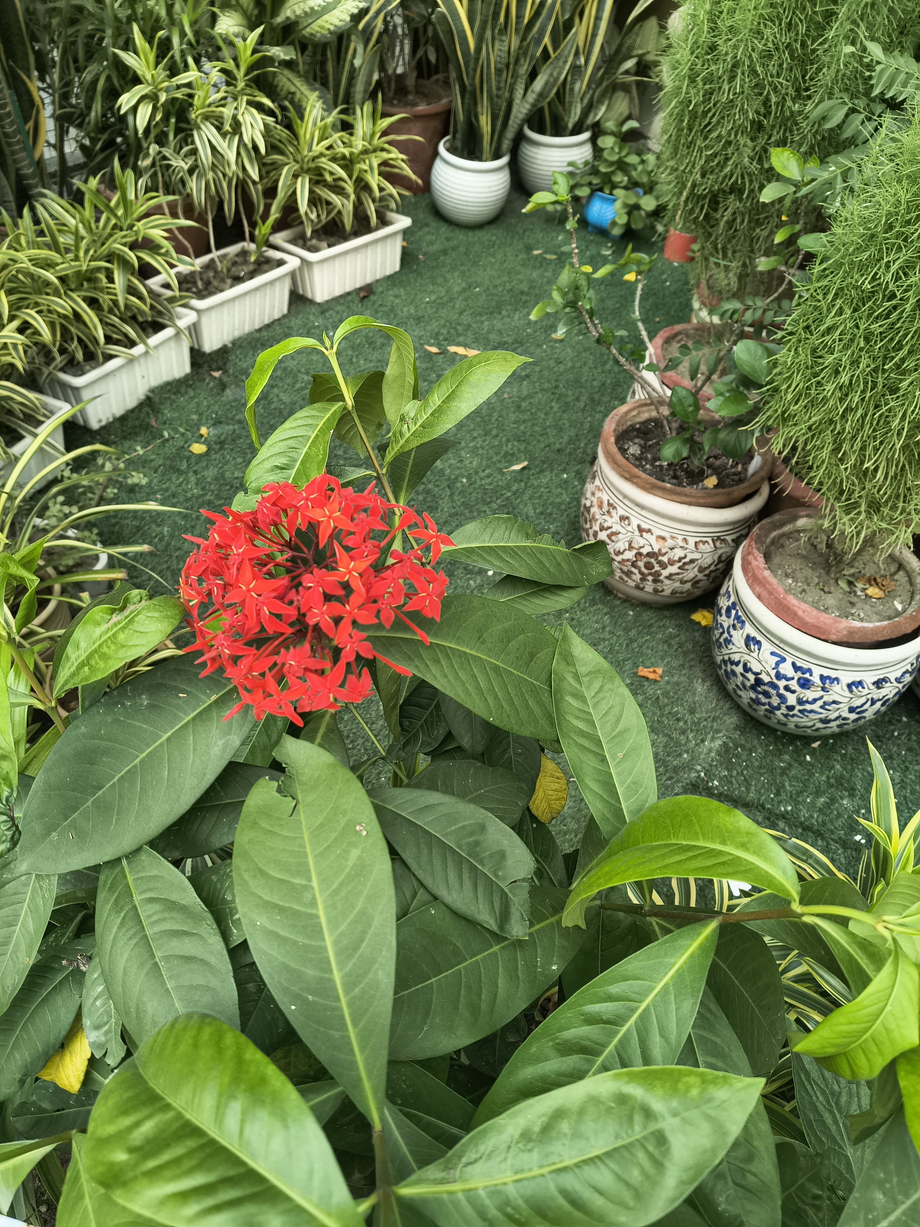 Moto G86 Power camera sample