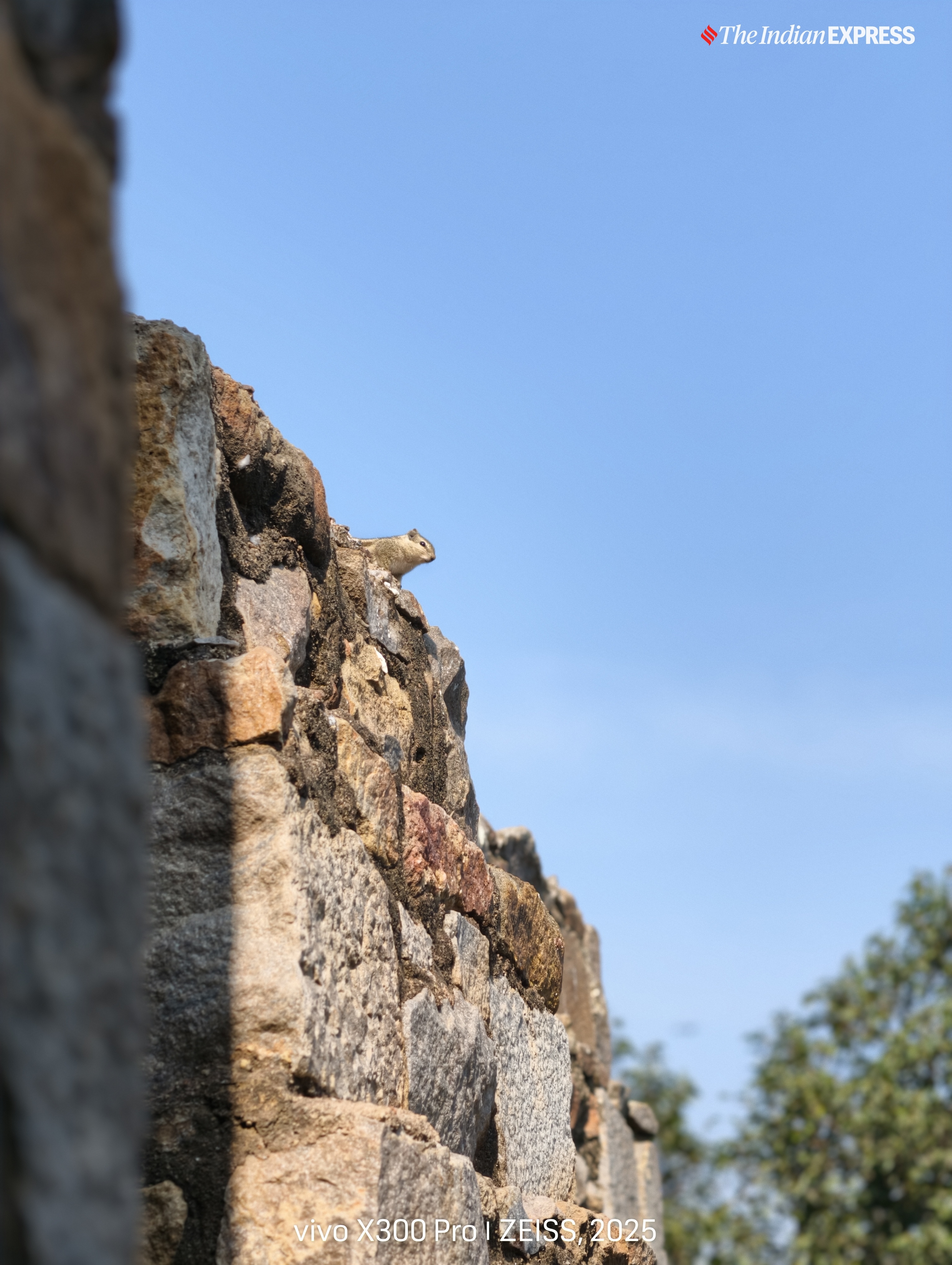 (Image: The Indian Express/ Nandagopal Rajan)