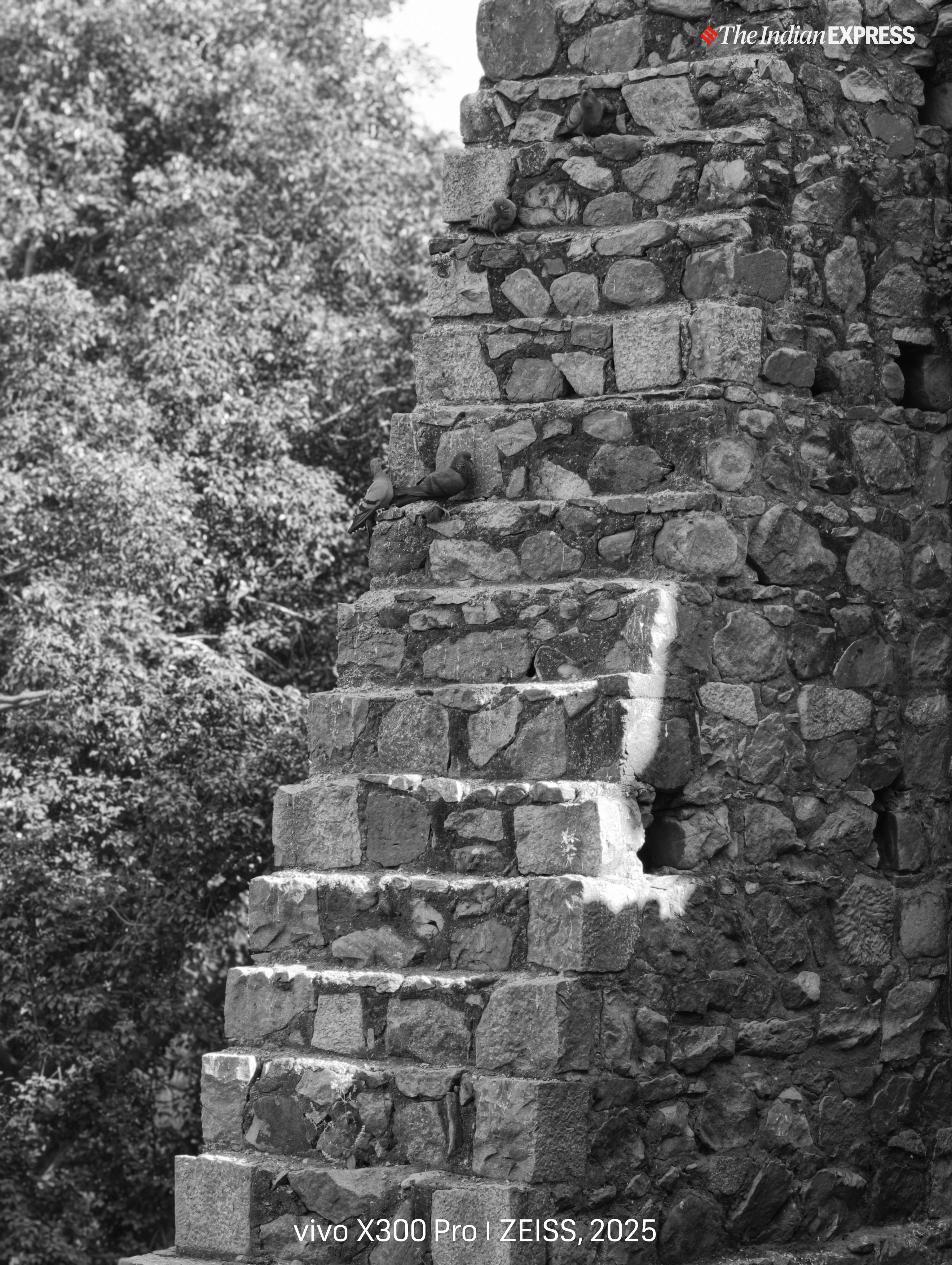 (Image: The Indian Express/ Nandagopal Rajan)