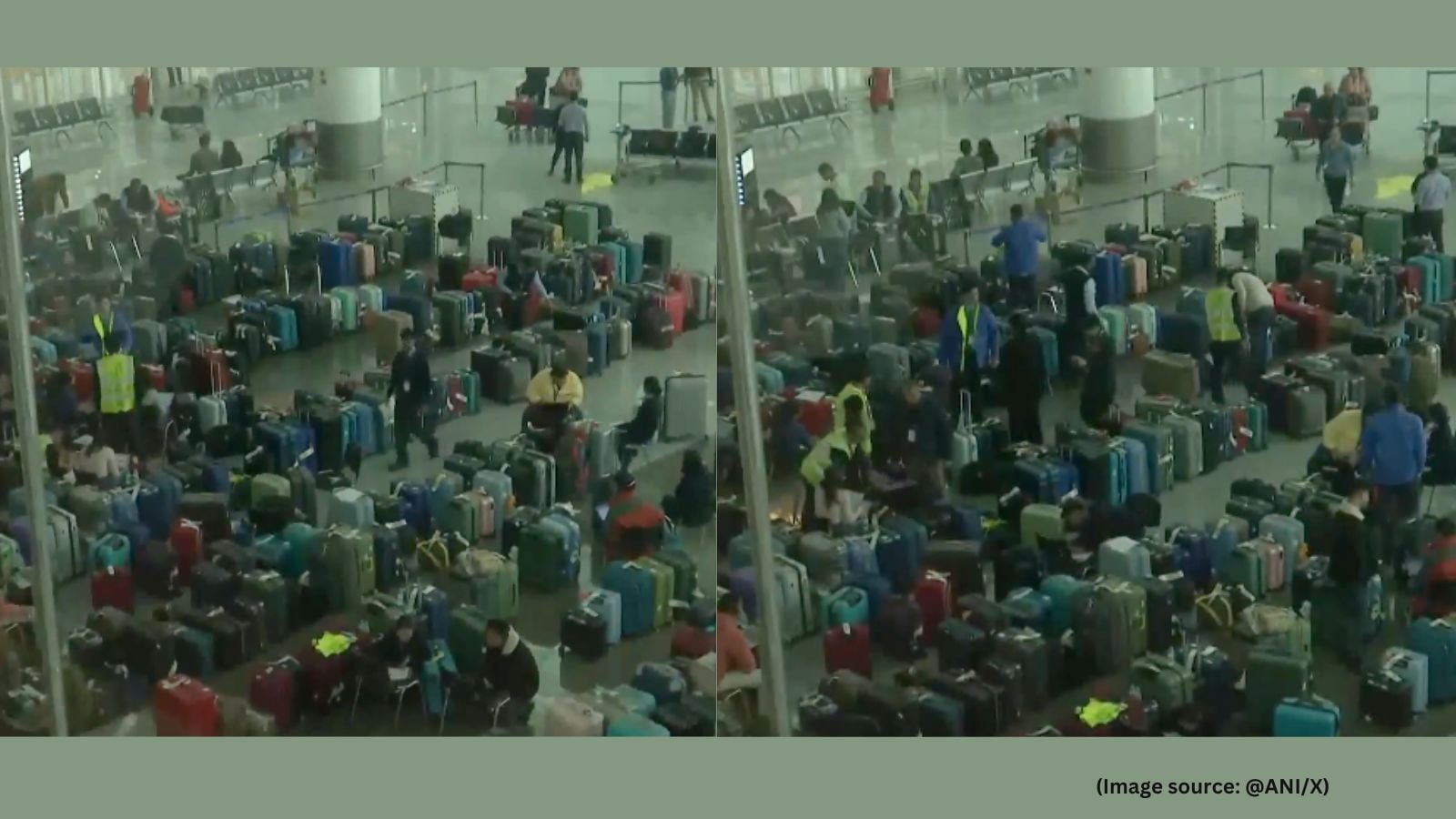‘Sabzi mandi’: Hundreds of suitcases seen lying at Delhi airport amid IndiGo crisis; video goes viral