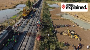 Seven elephants die in train hit in Assam: How such accidents can be prevented