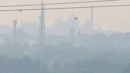 Stubble burning should not become a political issue: SC