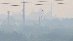 Stubble burning should not become a political issue: SC