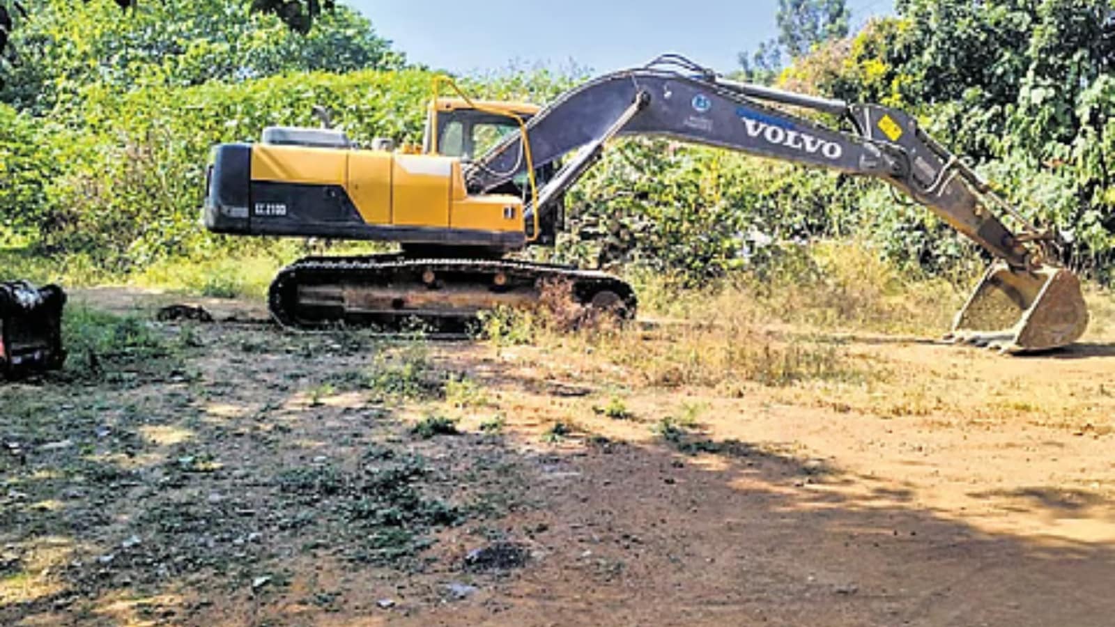 Karnataka HC temporarily halts felling of 371 trees at Bengaluru Cantonment railway compound | Legal News Karnataka HC temporarily halts felling of 371 trees at Bengaluru Cantonment railway compound | Legal News