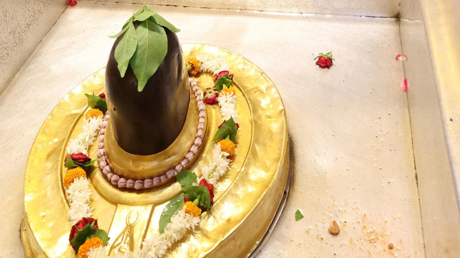 No VIP darshan at Kashi Vishwanath Temple on New Year: Check ticket prices, facilities after suspension is lifted