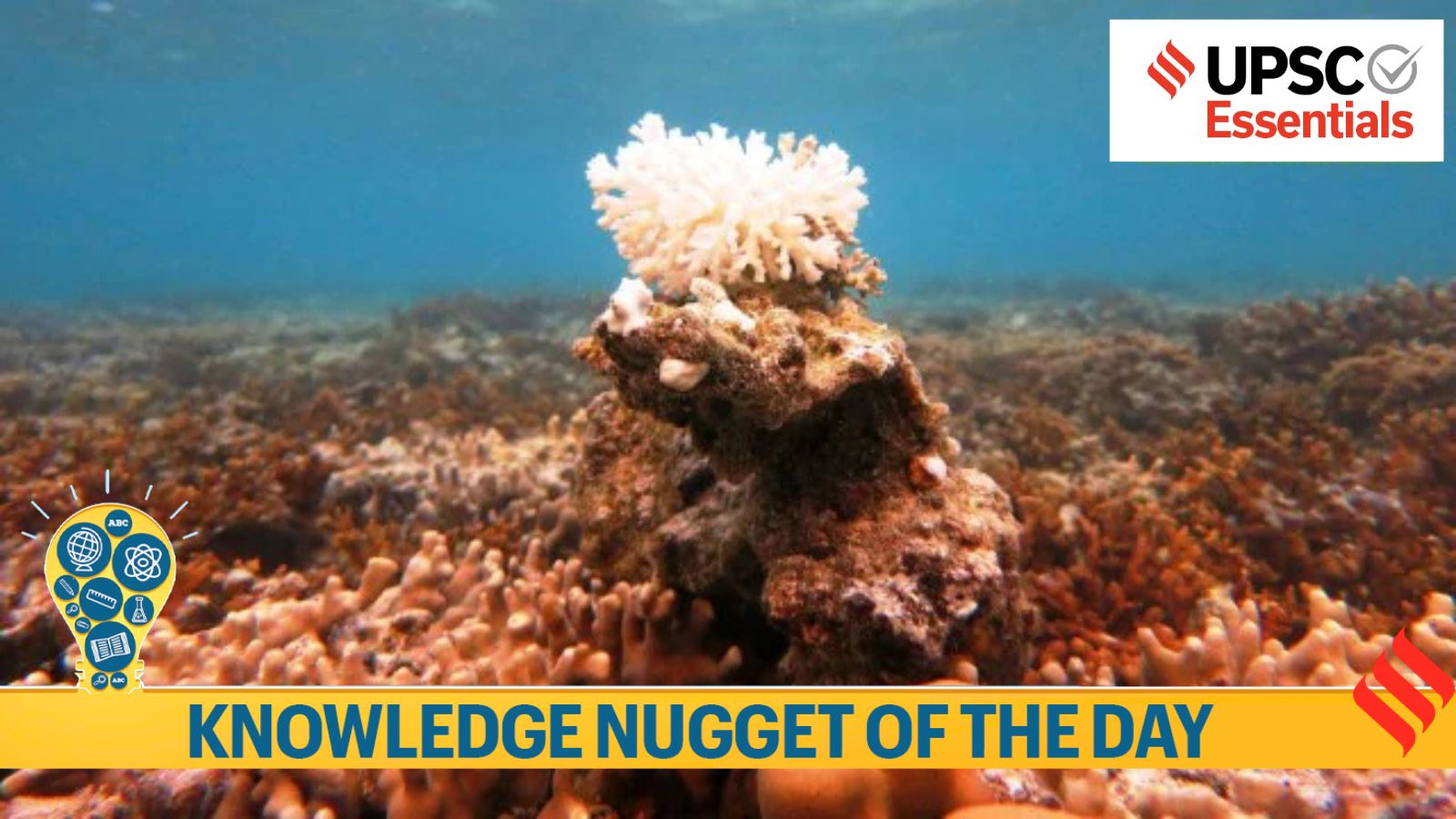 Knowledge Nugget | Andaman to get India’s first coral reef research centre: How is it relevant for your UPSC Exam