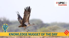 Knowledge Nugget: Great Indian Bustard Conservation: What you must know about the a flagship species of the Thar Desert