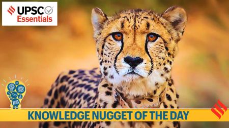 Knowledge Nugget | Translocation of Cheetahs — What you must know for the UPSC Exam