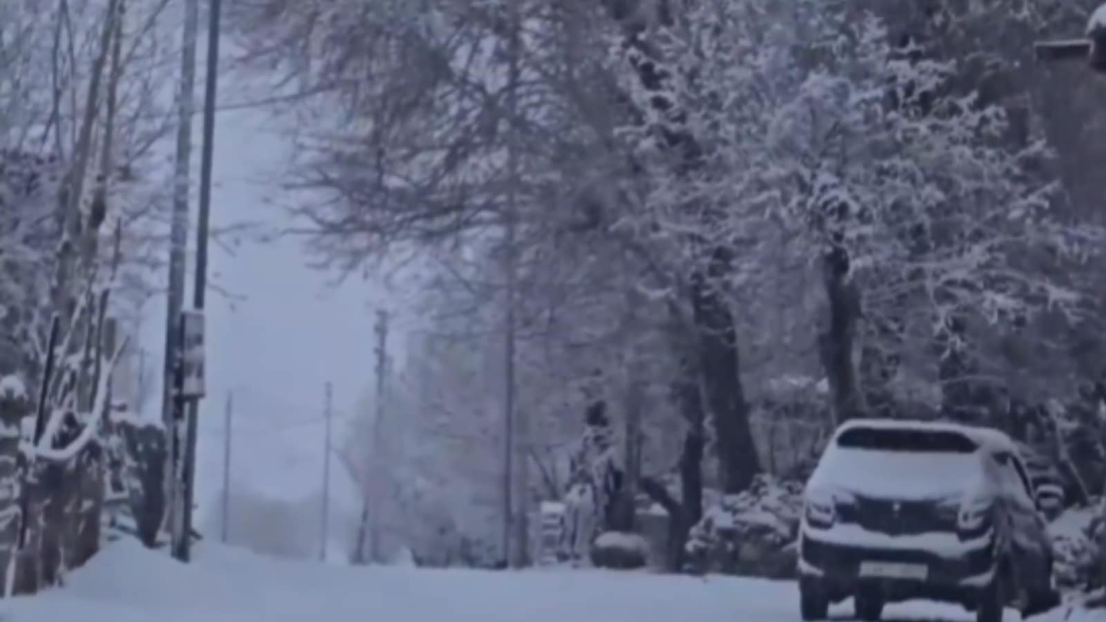 WATCH: Leh turns into a white wonderland after fresh spell of snow
