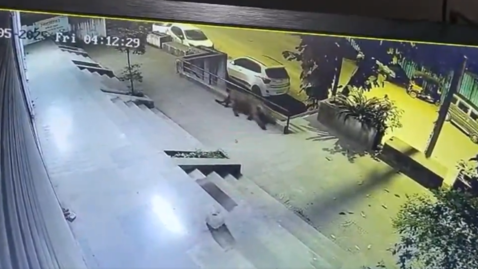 Leopard Spotted in Pune's Pashan, Sutarwadi Areas