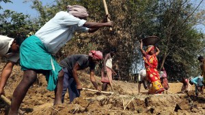 Villagers working under MGNREGA in the village.
