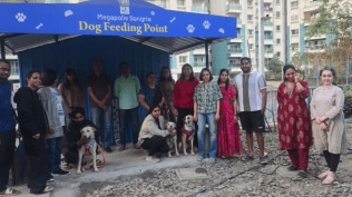 Megapolis Sangria Society (Hinjewadi) identified that lack of structure, not the dogs themselves, was the root cause of the problem. (Express Photo)